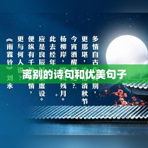 离别诗句与唯美句子,情感深处的离别之歌-茄考网